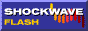 sflash.gif (1087 bytes)